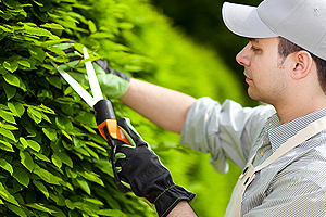 kertgondoz�s Balatonlelle