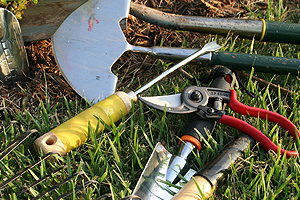 kertgondoz�s Balatonlelle